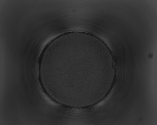 X0000093100987200710031455
