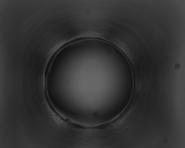 X0000093100988200710031455