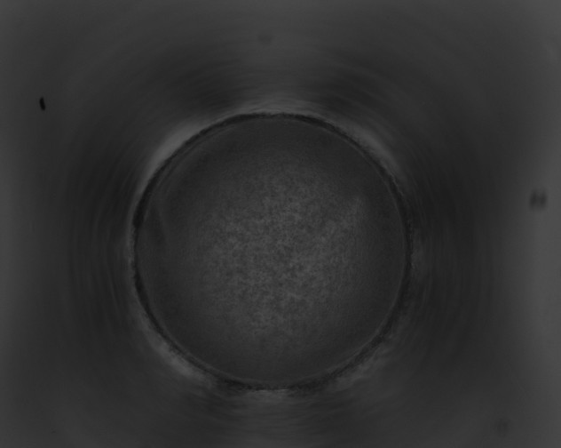 X0000093100990200710031455