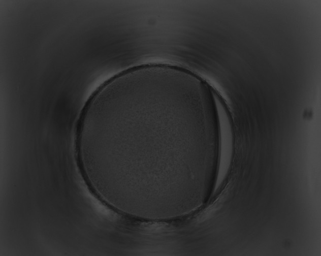 X0000093100991200710031455