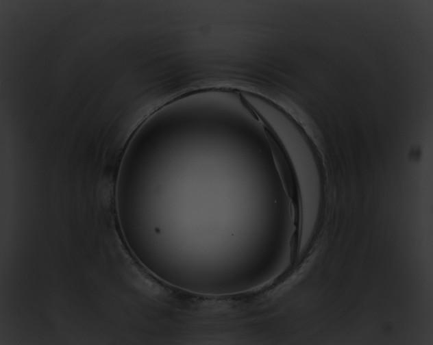 X0000093100993200710031455