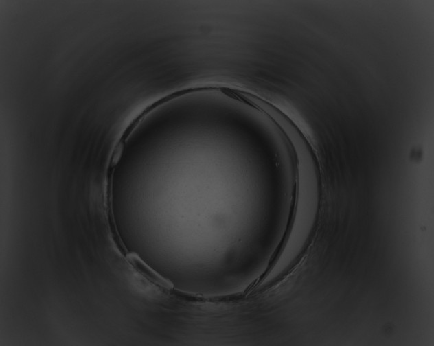 X0000093100996200710031455