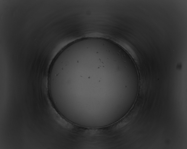 X0000093101000200710031455