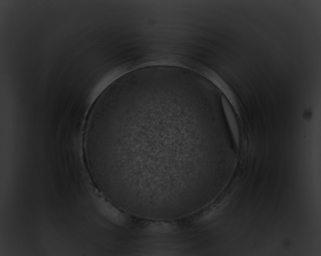 X0000093101002200710031455