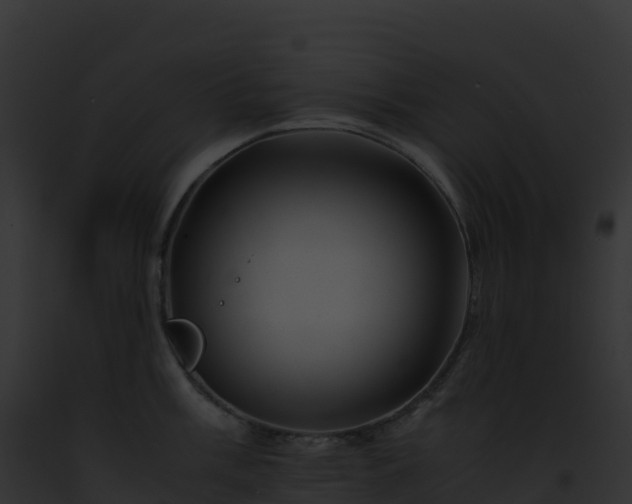 X0000093101003200710031455