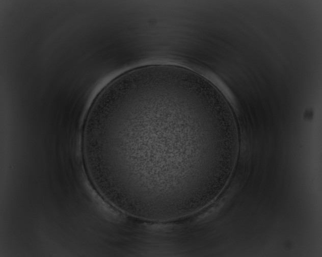 X0000093101004200710031455
