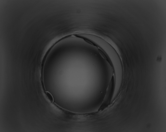 X0000093101005200710031455