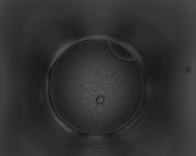 X0000093101006200710031455