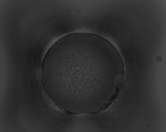 X0000093101008200710031455