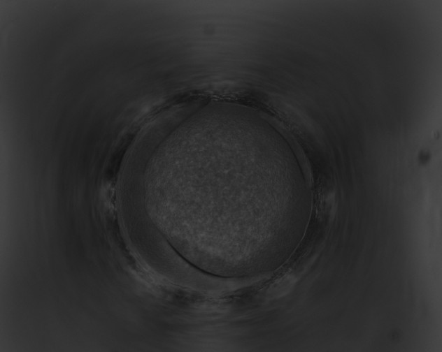 X0000093101010200710031454