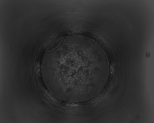X0000093101011200710031454