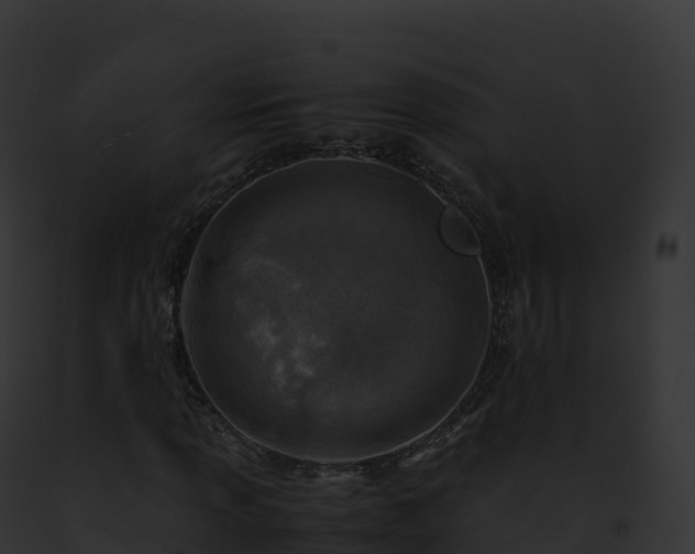 X0000093101013200710031454