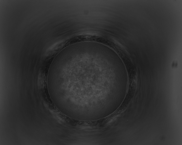 X0000093101014200710031454