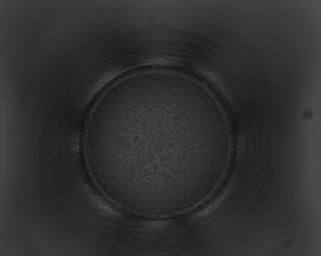 X0000093101017200710031454