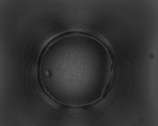 X0000093101020200710031454