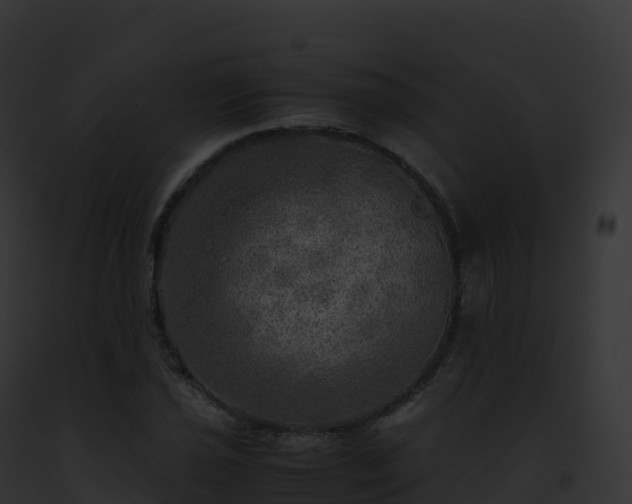 X0000093101021200710031454