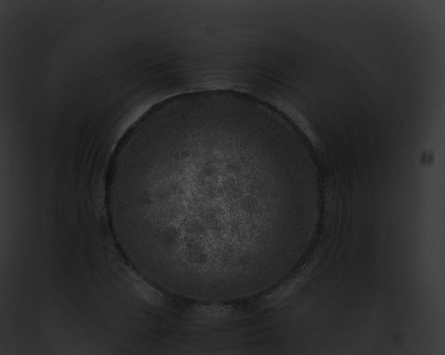 X0000093101023200710031454