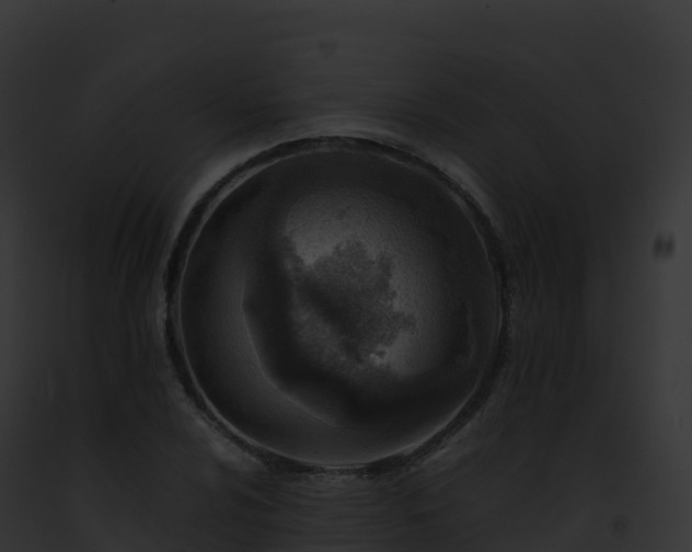 X0000093101024200710031454