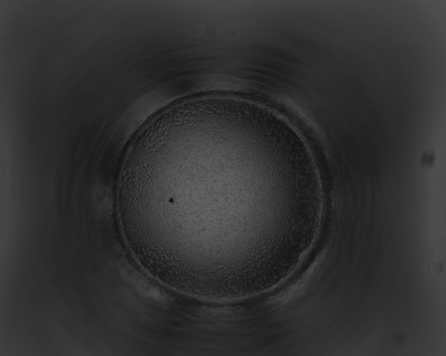 X0000093101025200710031454