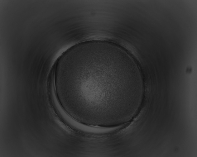X0000093101026200710031454