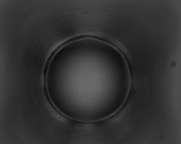 X0000093101028200710031454