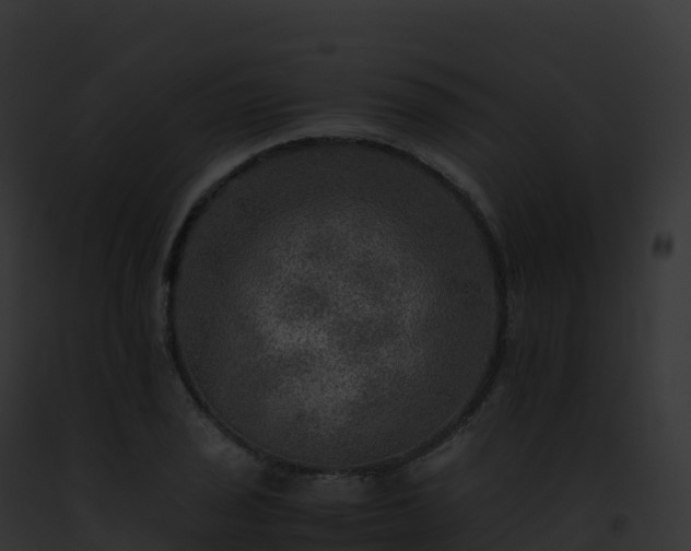 X0000093101029200710031454