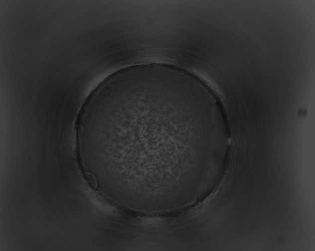 X0000093101031200710031454