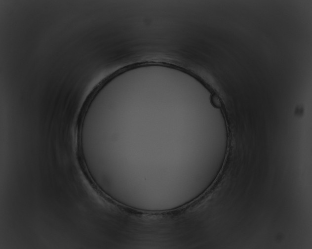 X0000093101032200710031454