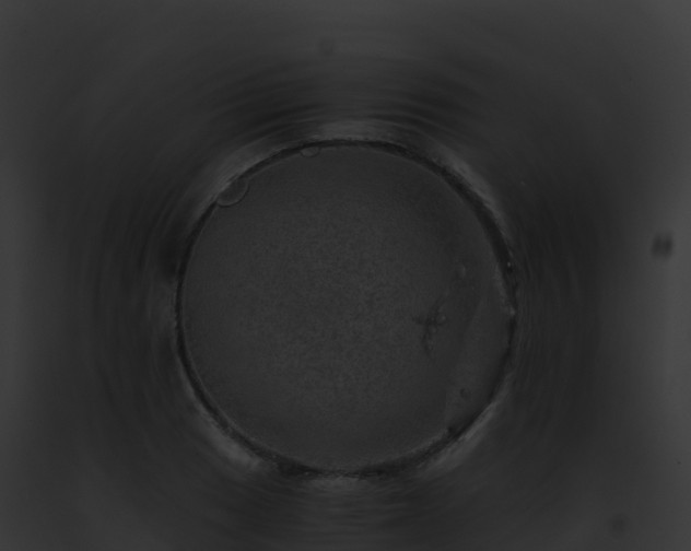 X0000093101033200710031454