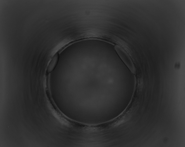 X0000093101034200710031455