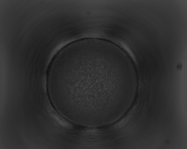 X0000093101035200710031455
