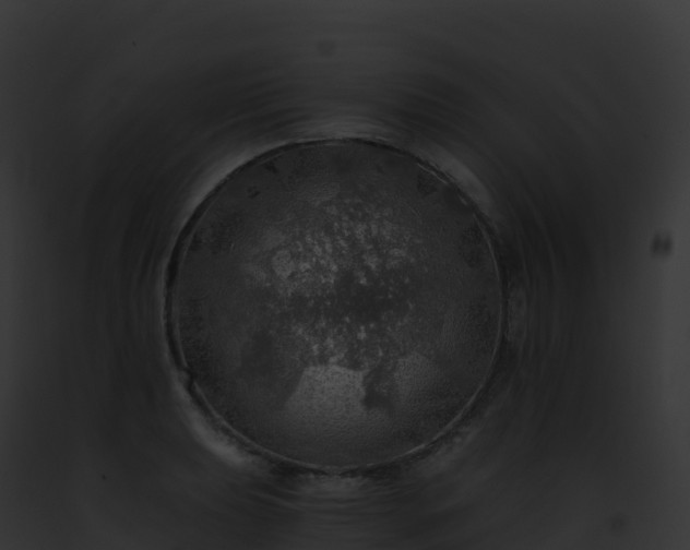 X0000093101039200710031455