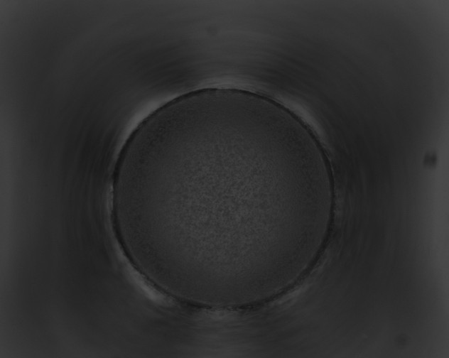 X0000093101040200710031455