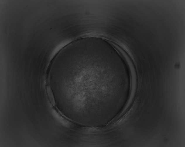 X0000093101042200710031455