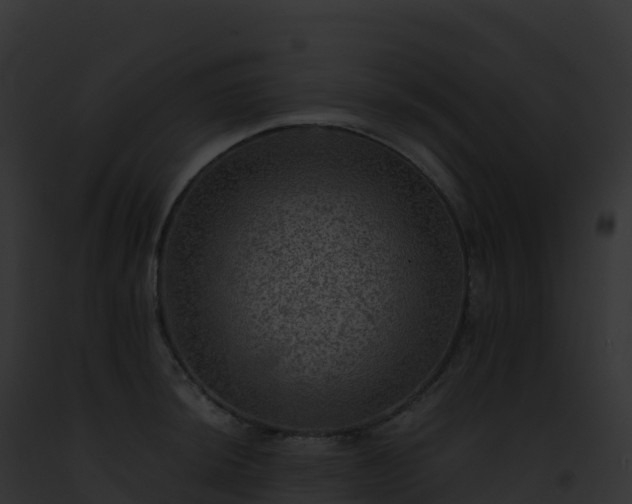 X0000093101044200710031455