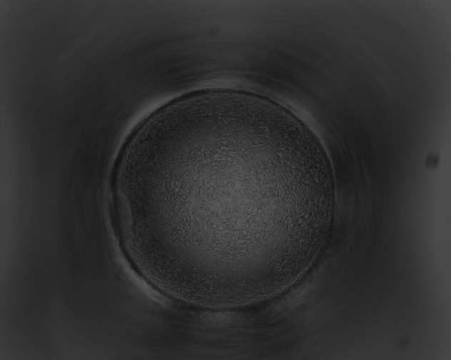 X0000093101045200710031455