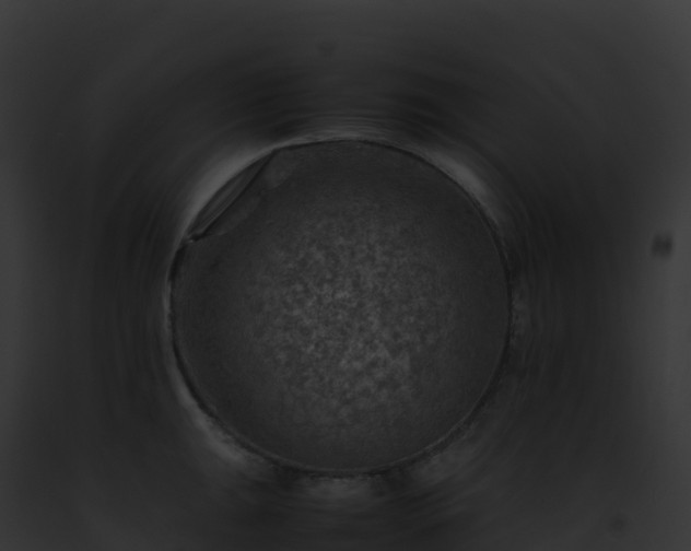 X0000093101047200710031455