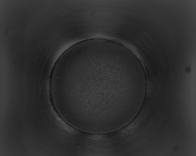 X0000093101048200710031455