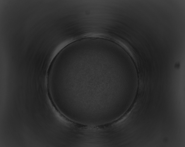 X0000093101050200710031455