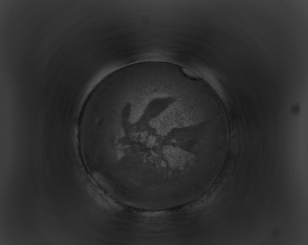 X0000093101051200710031455