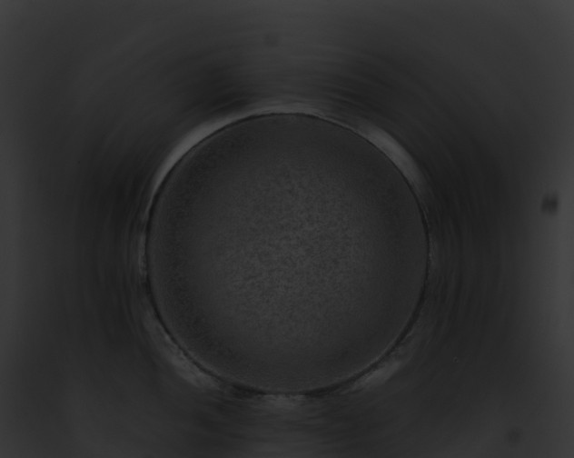 X0000093101052200710031455