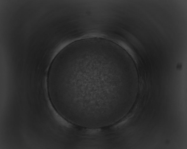 X0000093101055200710031455