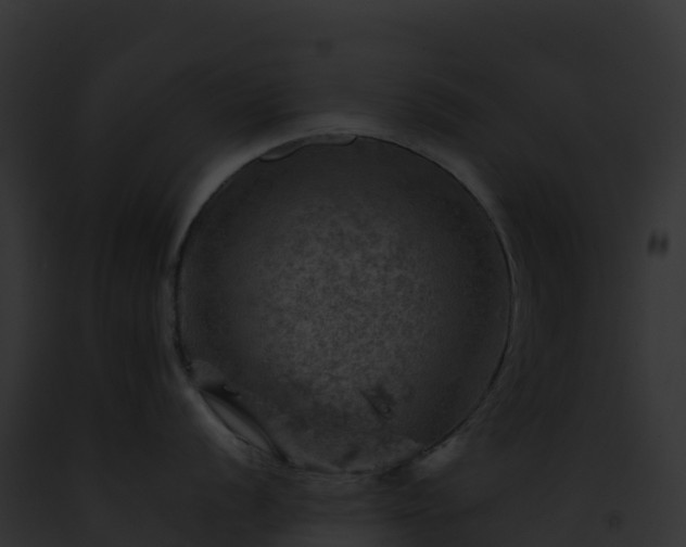 X0000093101056200710031455