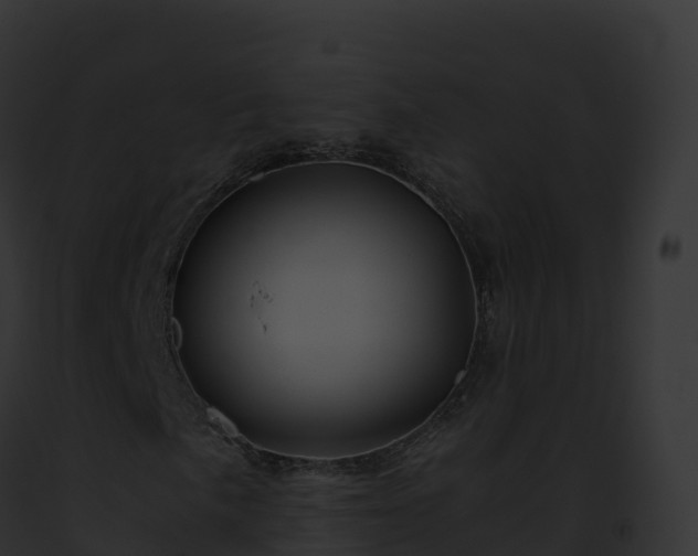 X0000093101057200710031454
