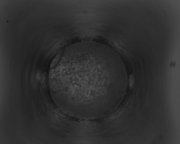 X0000093101059200710031454