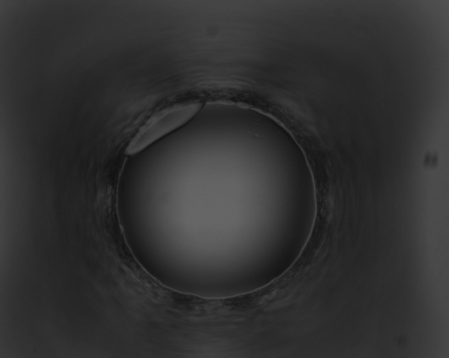 X0000093101061200710031454
