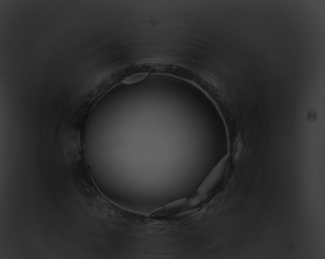 X0000093101062200710031454
