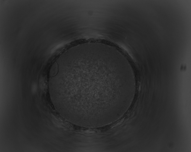X0000093101063200710031454