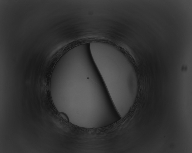 X0000093101064200710031454