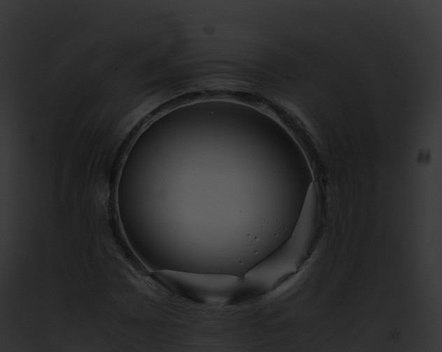 X0000093101065200710031454